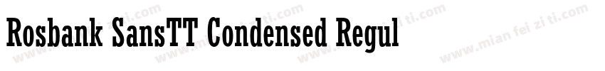 Rosbank SansTT Condensed Regular字体转换